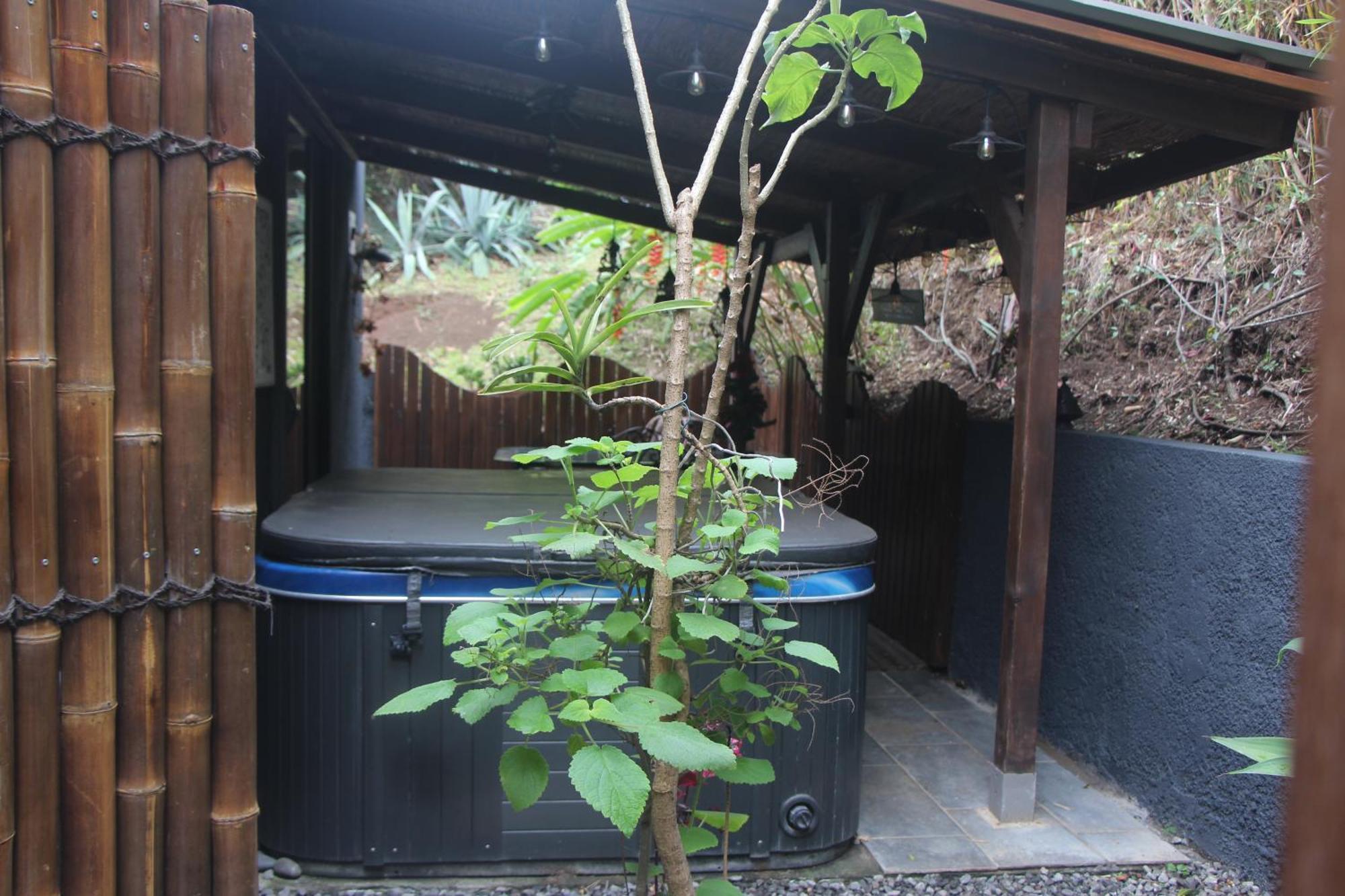 Lodge Le Palissandre à LA LIANE DE JADE 974- jacuzzi privatif - piscine Le Bois de Nefles  Esterno foto